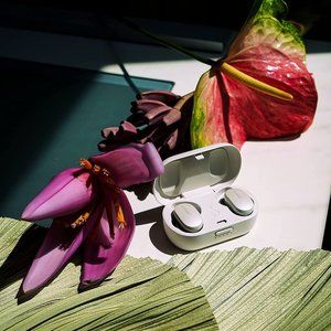 Bose QuietComfort Earbuds (Soapstone)